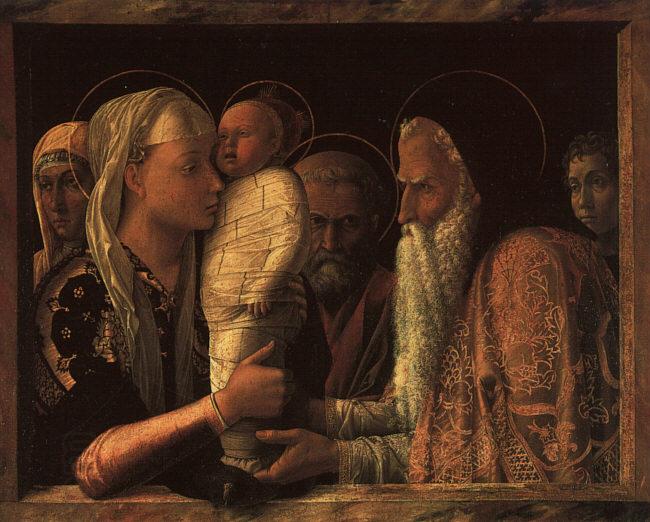 Andrea Mantegna Presentation at the Temple China oil painting art